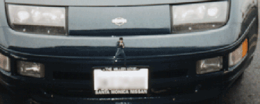 Elvis rides shotgun.